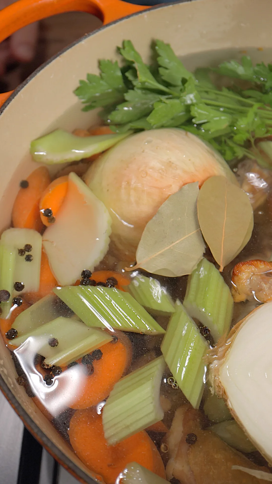 Picture for Caldo de Pollo marron [Brown Chicken Soup]